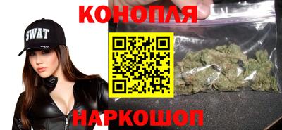 спиды Дубна