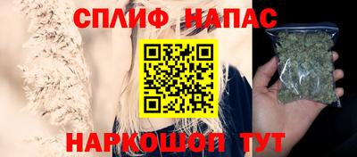 спиды Дубна