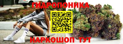 индика Донецк