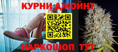 спиды Дубна