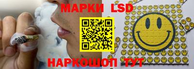 спиды Дубна
