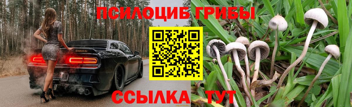 Псилоцибиновые грибы мицелий Назарово